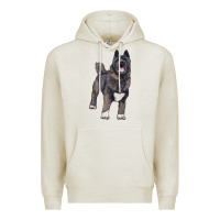 Oatmeal Heather American akita Premium Hoodie - RanaPortraitStore