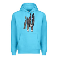 Ocean Blue American akita Premium Hoodie - RanaPortraitStore