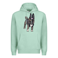 Seafoam American akita Premium Hoodie - RanaPortraitStore