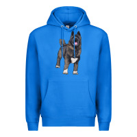 True Royal American akita Premium Hoodie - RanaPortraitStore