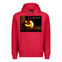 Cardinal Halloween Is Coming Premium Hoodie - Unal Design