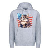 Heather Grey cat3 Premium Hoodie - Unal Design
