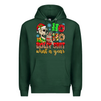 Sports Green ho ho holy shit what a year Premium Hoodie - MaliasSmallBusiness