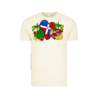 Vintage Arctic dominican republic hearts Vintage Tee - Artiststas