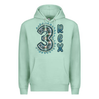 Seafoam 3 rex green dinosaur Premium Hoodie - MaliasSmallBusiness