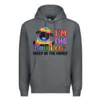 Rock i'm the rainbow sheep of the family Premium Hoodie - MaliasSmallBusiness