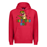 Cardinal birthday boy Premium Hoodie - MaliasSmallBusiness