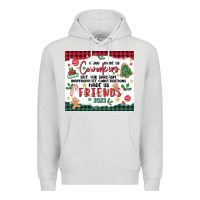 Dove Grey christmas coworkers Premium Hoodie - MaliasSmallBusiness