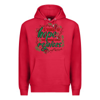 Cardinal a thrill of hope the weary world rejoices Premium Hoodie - MaliasSmallBusiness