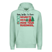 Seafoam dear santa ive been Premium Hoodie - MaliasSmallBusiness