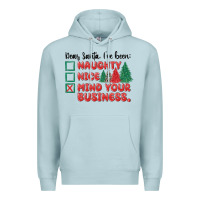 Blue Mist dear santa ive been Premium Hoodie - MaliasSmallBusiness