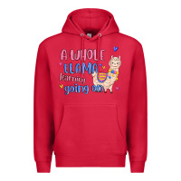 Cardinal a whole llama learning going on Premium Hoodie - MaliasSmallBusiness