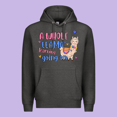 Premium Hoodie a whole llama learning going on