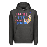 Charcoal Heather a whole llama learning going on Premium Hoodie - MaliasSmallBusiness