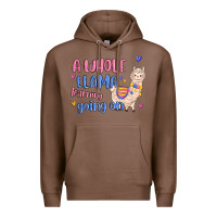 Chestnut a whole llama learning going on Premium Hoodie - MaliasSmallBusiness