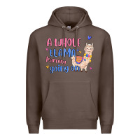 Coffee a whole llama learning going on Premium Hoodie - MaliasSmallBusiness