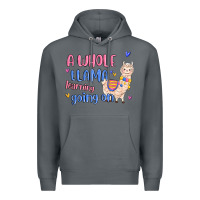 Rock a whole llama learning going on Premium Hoodie - MaliasSmallBusiness