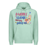Seafoam a whole llama learning going on Premium Hoodie - MaliasSmallBusiness