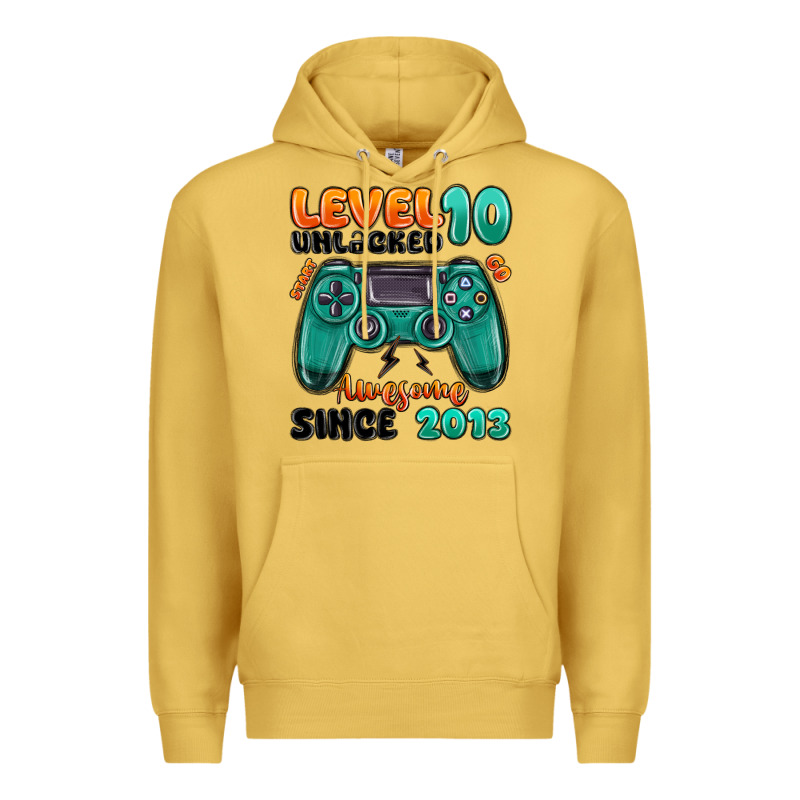 Level 10 Unlocked Awesome Since 2013 Premium Hoodie by MaliasSmallBusiness | Teevron