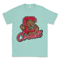 Seafoam cornell Classic Tee - DesignPulse