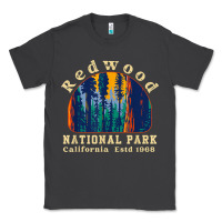 Smoke redwood national park california retro vintage cam Classic Tee - DesignPulse