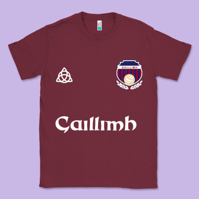 Galway Gaillimh Irish Gaelic Football And Hurling Premium Classic Tee Designed By Designpulse