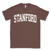 Chestnut stanford california ca vintage athletic sports design t shirt Classic Tee - DesignPulse