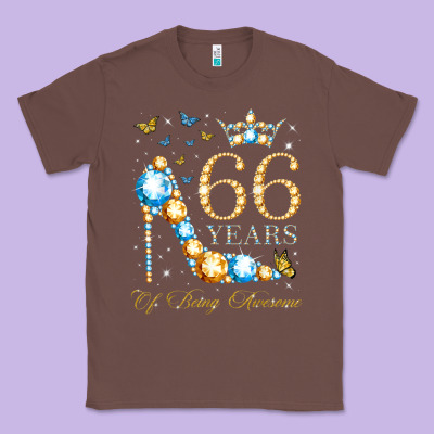 66th Birthday 66 Years Of Being Awesome 66 Years Old Woman Classic Tee Designed By Pixelwave