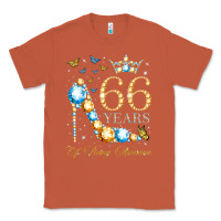 Copper 66th birthday 66 years of being awesome 66 years old woman Classic Tee - PixelWave