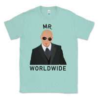 Seafoam Pitbull Mr Worldwide Classic Classic Tee - Craftify