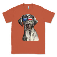 Copper great dane sunglasses american usa flag 4th of july fourth t shirt Classic Tee - InspiraDesign