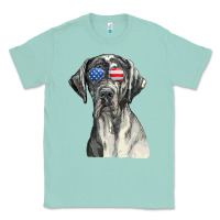 Seafoam great dane sunglasses american usa flag 4th of july fourth t shirt Classic Tee - InspiraDesign
