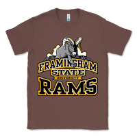 Chestnut framingham state Classic Tee - InspiraDesign