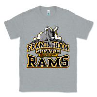 Heather Grey framingham state Classic Tee - InspiraDesign