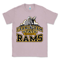 Lilac framingham state Classic Tee - InspiraDesign