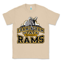 Mushroom framingham state Classic Tee - InspiraDesign