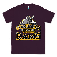Plum framingham state Classic Tee - InspiraDesign