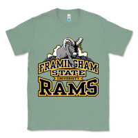 Sage framingham state Classic Tee - InspiraDesign