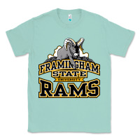 Seafoam framingham state Classic Tee - InspiraDesign