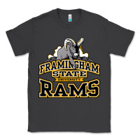 Smoke framingham state Classic Tee - InspiraDesign