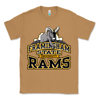 Toasted Coconut framingham state Classic Tee - InspiraDesign