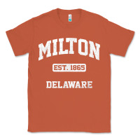 Copper milton delaware de vintage state athletic style t shirt Classic Tee - InspiraDesign