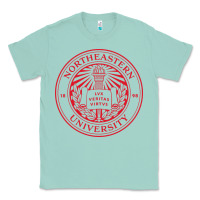 Seafoam Northeastern University Classic Tee - ArtChic
