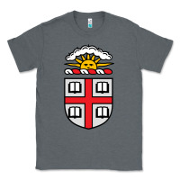 Charcoal Heather brown university Classic Tee - StudioElite