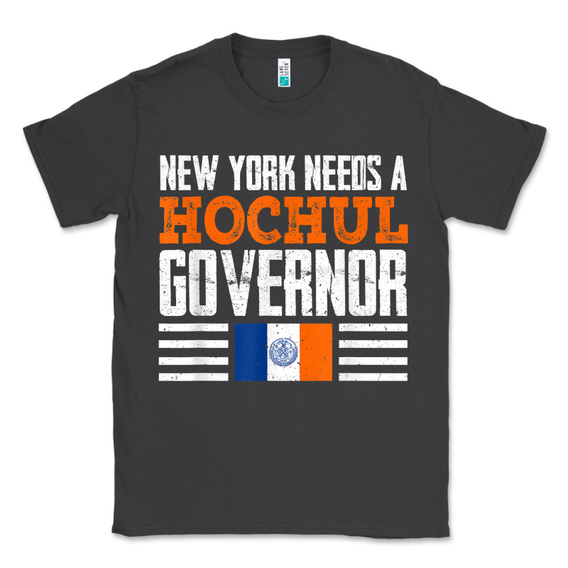 New York Needs A Hochul Governor Kathy Hochul 2022 New York T Shirt Classic Tee by StudioElite | Teevron