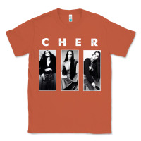 Copper Cher, Cher Heart of Stone, Cher Cher Cher Cher Cher, Cher Cher Cher Ch Classic Tee - PixelFlow