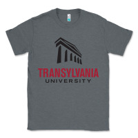Charcoal Heather transylvania university Classic Tee - PixelFlow