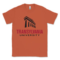 Copper transylvania university Classic Tee - PixelFlow