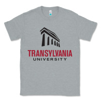 Heather Grey transylvania university Classic Tee - PixelFlow