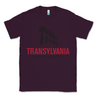 Plum transylvania university Classic Tee - PixelFlow